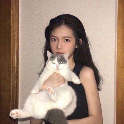超级舰队手游下载